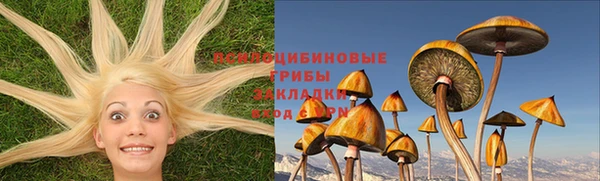 гидропоника Нефтегорск