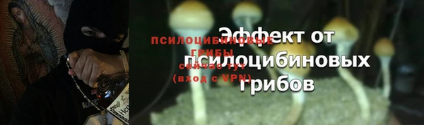 первитин Нея