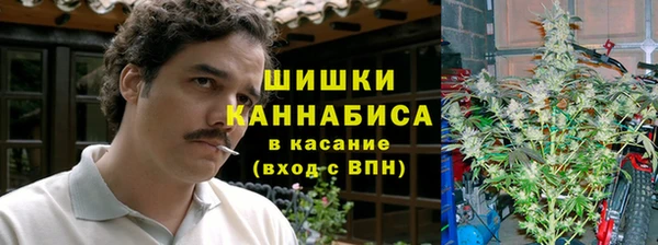 первитин Нея
