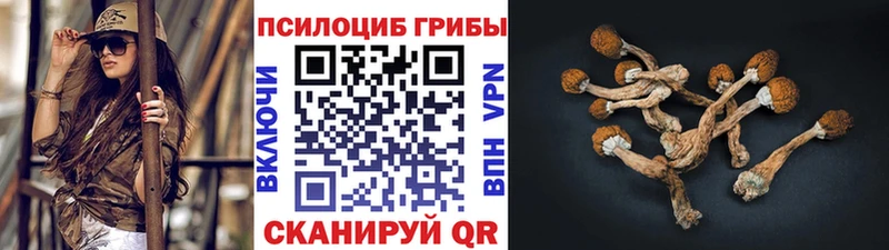 наркошоп  Котельнич  площадка формула  Галлюциногенные грибы мицелий  kraken ссылки 